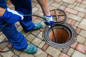 Does Your Plumbing System Need Rooter Service?